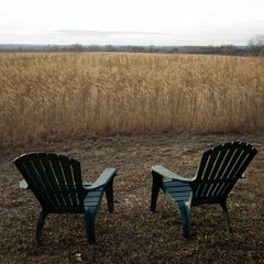 Why Can't You Love Me?