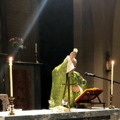 Fra Ljubomir Šimunović, 33. nedjelja kroz godinu, C