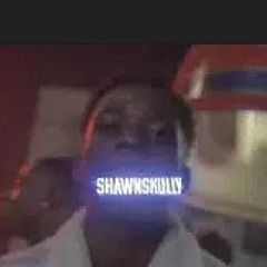 ShawnSkully- No calls