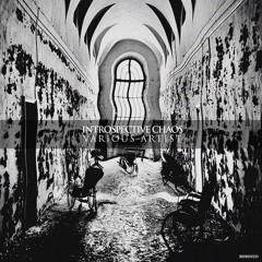 Premiere: Michal Jablonski - Hideo [Black Owl Records]