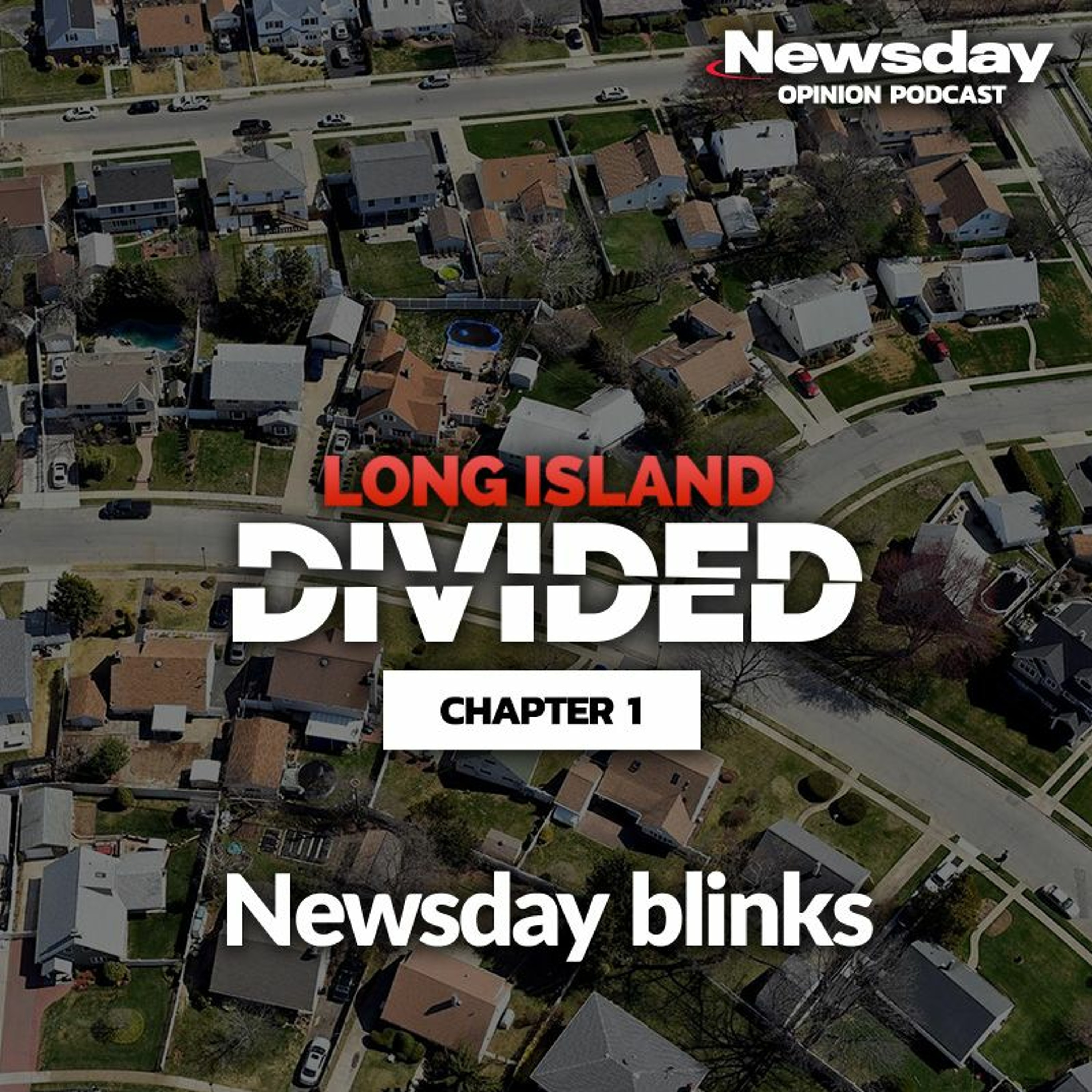 Long Island Divided Chapter 1: Newsday Blinks at Levittown