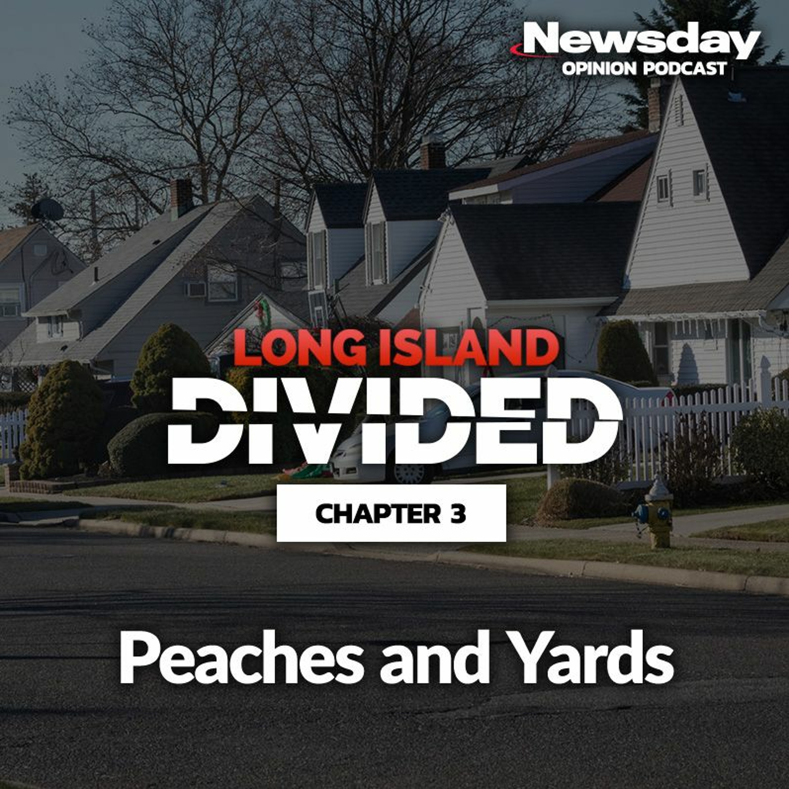 Long Island Divided Chapter 3: Peaches and Yards