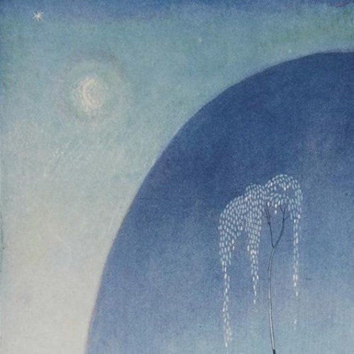 Flugels and Stars