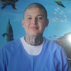 FREE L.BOO BOO