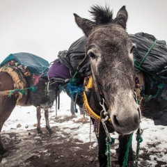 Is Shifting Your Burden From One Shoulder to the Other Progress?