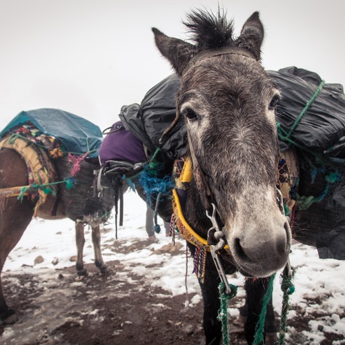 Is Shifting Your Burden From One Shoulder to the Other Progress?