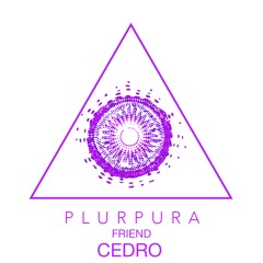 Plurpura's Friend chapter#4 CEDRO