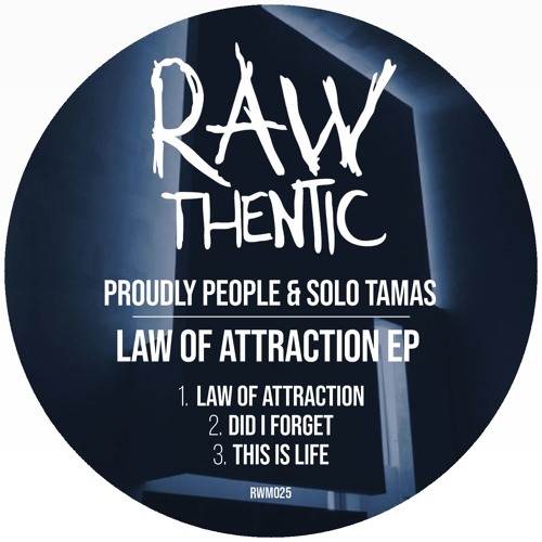 Proudly People & Solo Tamas - Did I Forget (Original Mix)