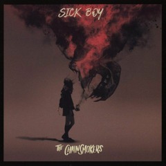 The Chainsmokers vs SAYMYNAME - sick boy opening (mashup prod. by Roby)