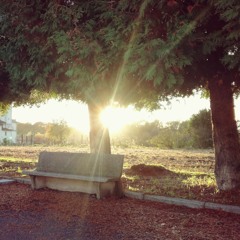 yorgun musun, dargın mı?