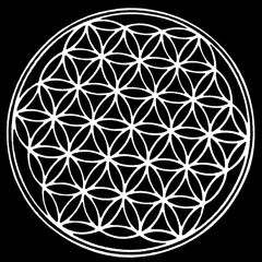 Fly Away (ft. Lenard)