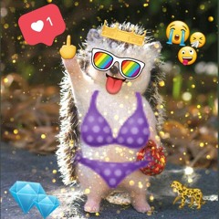 고슴도치 (Beat by  omgsora)