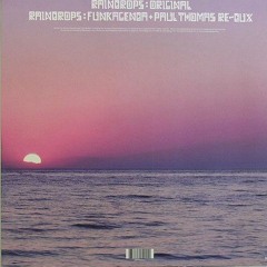 Basement Jaxx - Raindrops (Funkagenda & Paul Thomas ReDux)