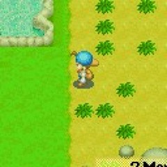 Four Corners - oh flamingo