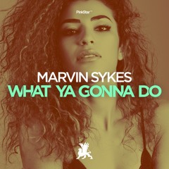 Marvin Sykes - What Ya Gonna Do (EDX NO XCUSES PREMIER)