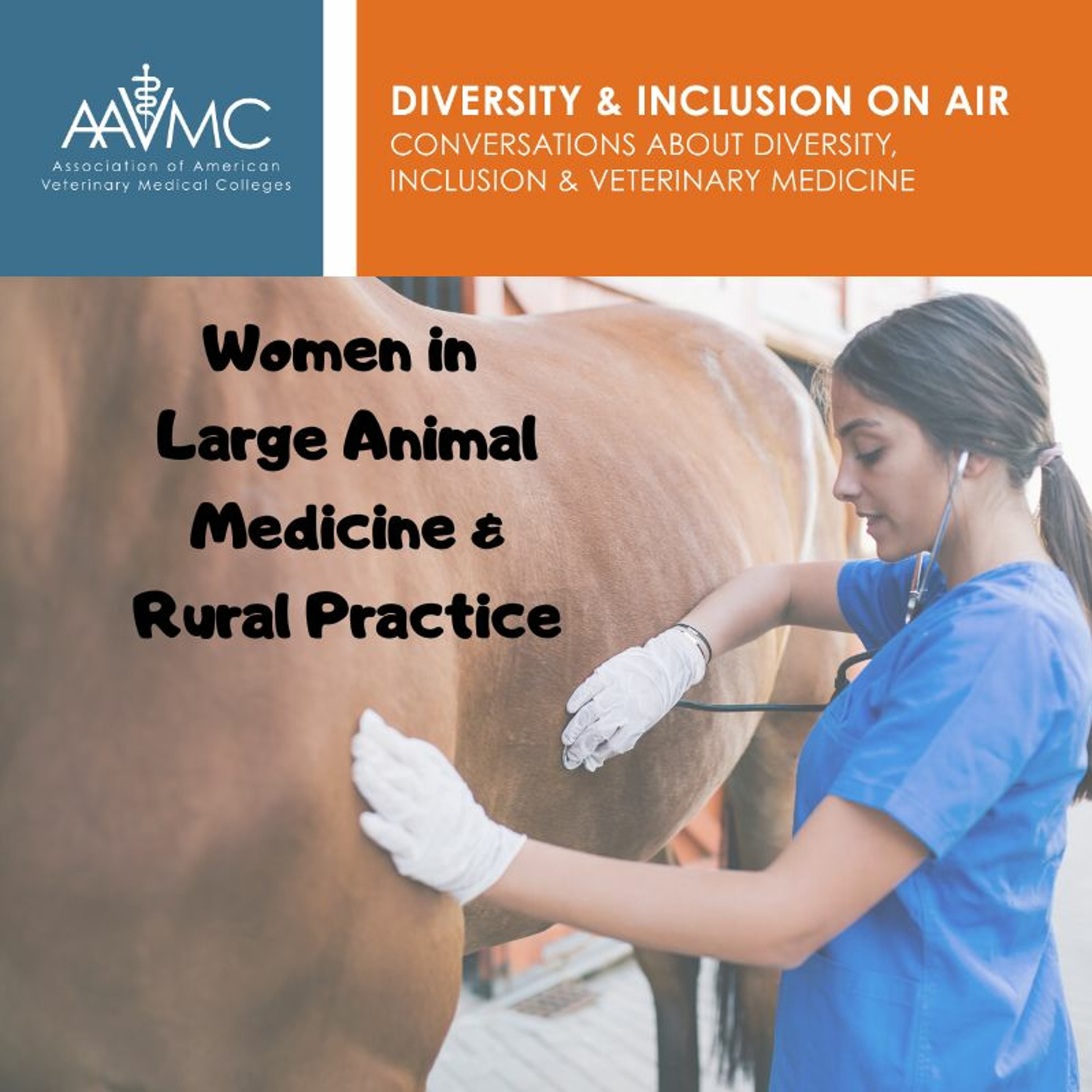 AAVMC\'s On Air: Conversations about Issues in Veterinary Medicine