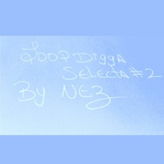 Loop Digga Selecta #2 by NEZ