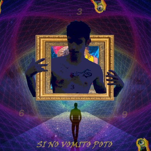 TEMA 14 (SI NO VOMITO POTO)