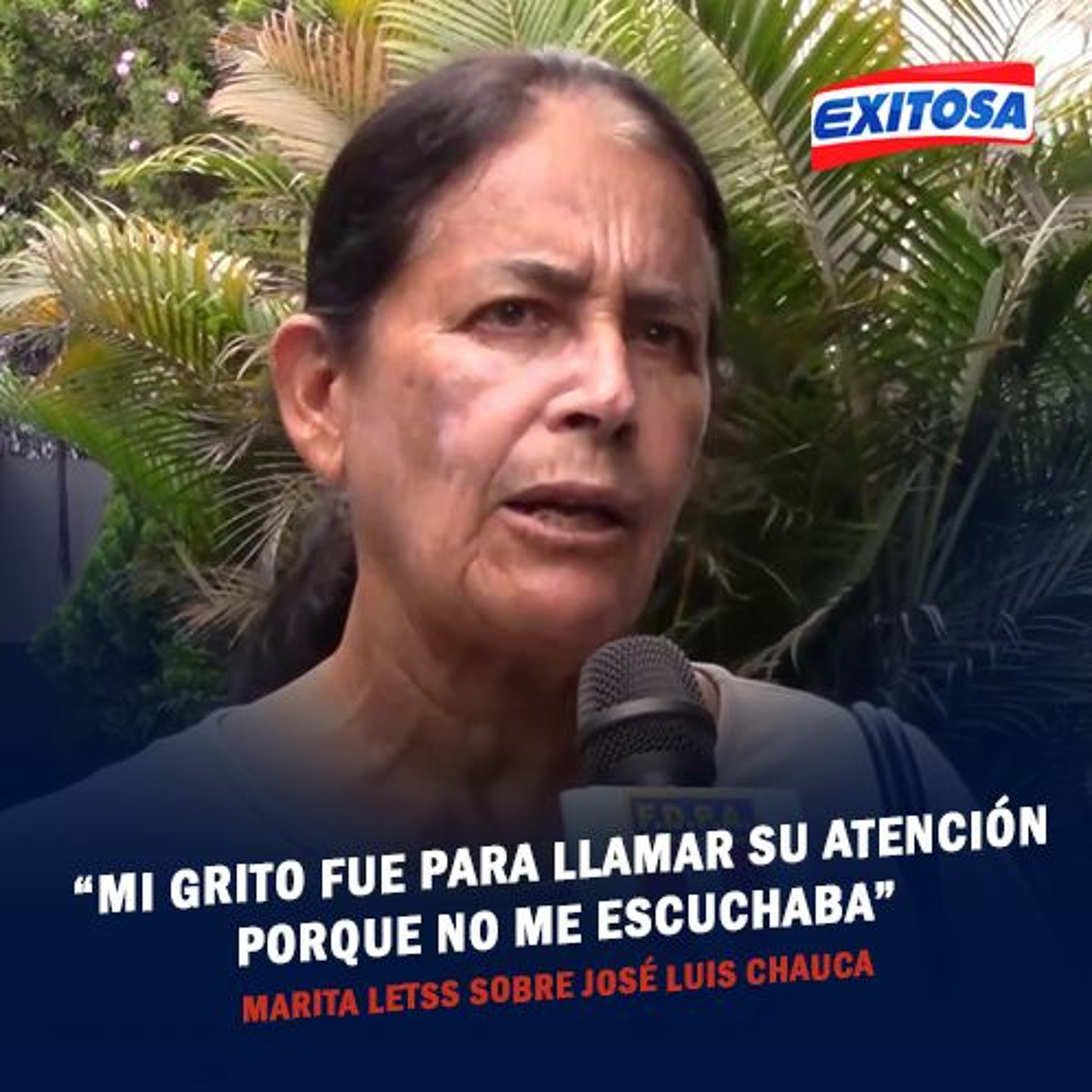 Exitosa Noticias