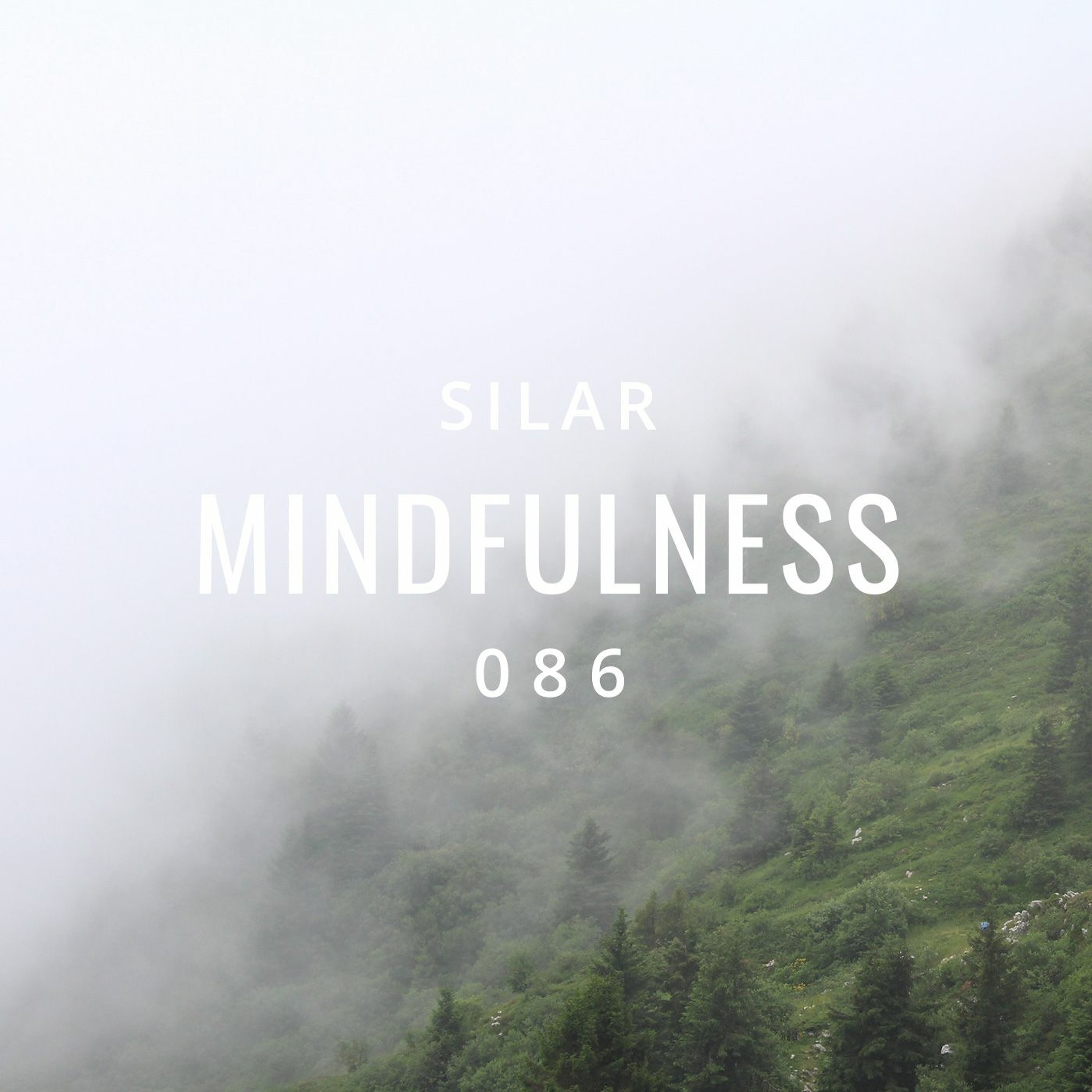 Mindfulness