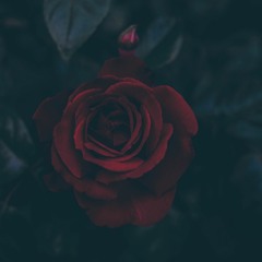 Nonstop 2019 - Ê Tôi Thích Bài Này - Nonstop Club