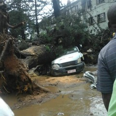 CHISHAWASHA FLATS- TWO PEOPLE DIE AS TREE FALLS ON KOMBI