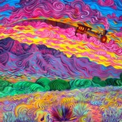 B. U. S. (Bon Univers Saire) Lama