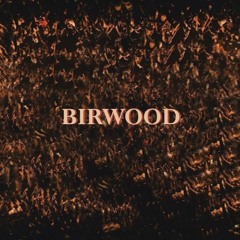 Birwood Radio 002 - Spooky RnB Joint :)