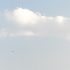 NUMB (Prod. JC Beatz)