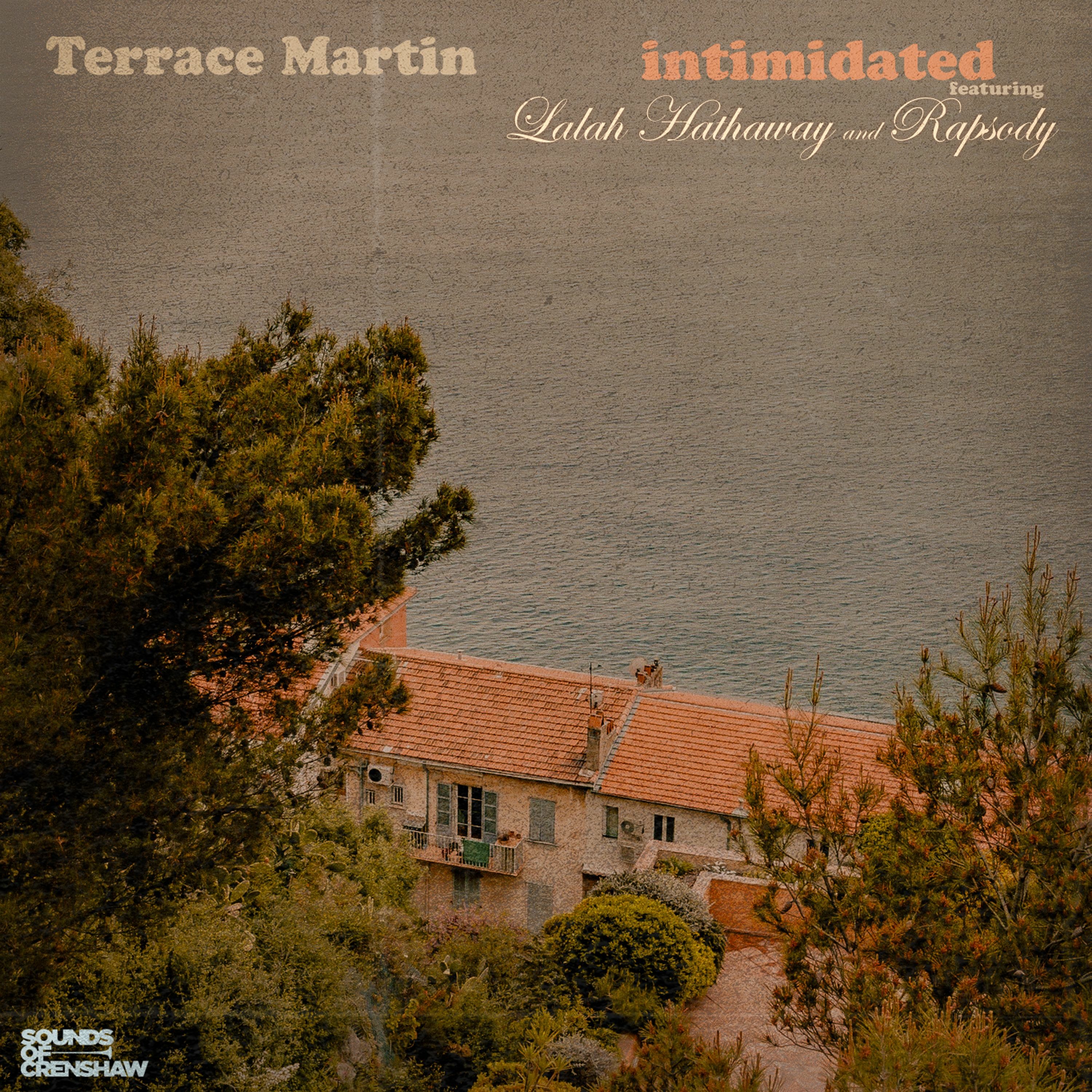 Terrace Martin