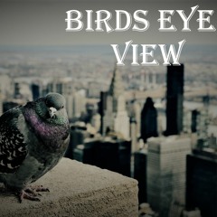 Birds Eye View