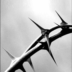 Rose Of The Thorn - Prod. By D-Inventa