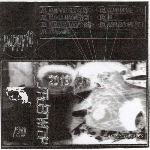 SPIDERWRAP - A4.  "XDREAMS" ("ALTERED STATES"_PUPPY10_ CS)