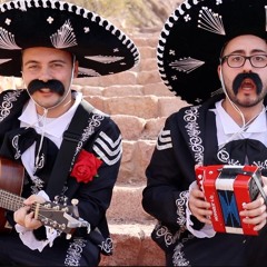 Shawn Mendes, Camila Cabello - Señorita PARODY