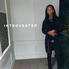 Erica B. - Introverted