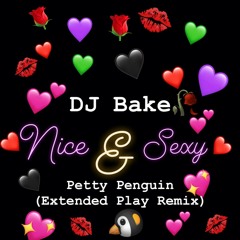DJ Bake - Nice & Sexy (Petty Penguin Extended Play Remix)