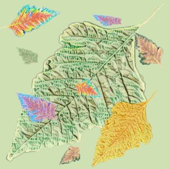 Fall Like Autumn (prod. Hokage)