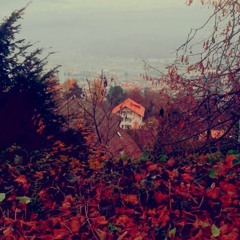 New & hot: All music genres