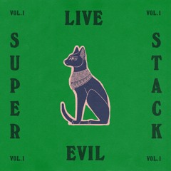 Mr Me Too - Live Evil Remix