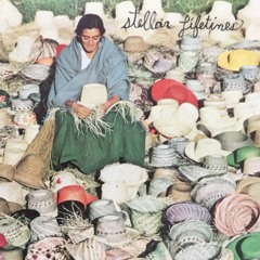 the true miracle (2001)