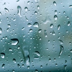 Petrichor