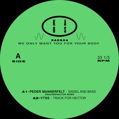 Peder Mannerfelt / VTSS / Hadone / Ascion - WE ONLY WANT YOU FOR YOUR BODY - KAOS04