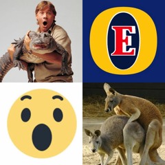Timber Edits // That's Not An Edit Collection