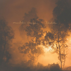 Mandolin Orange – Blindfaller