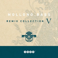 Antoine Villoutreix - Wie Wunderschoen (Mollono.Bass Remix)