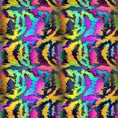 GRiZ - Tiger Kingdom Space Camp X Let's Get Weird (Sweet Technique edit)