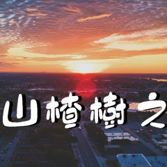 胖虎 - 山楂树之恋 (正式版)【動態歌詞/Lyrics Video】