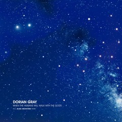 Lost In Ether | P R E M I E R E | Dorian Gray - Airy Gravity (Blazej Malinowski Remix) [NWR]