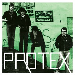 Protex - A Place In Your Heart (BR-108)