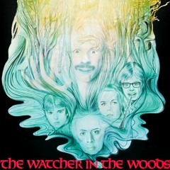 EP27 The Watcher in the Woods